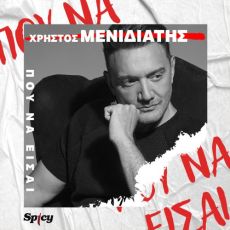 ΧΡΗΣΤΟΣ ΜΕΝΙΔΙΑΤΗΣ  ΠΟΥ ΝΑ ΕΙΣΑΙ 