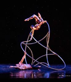 VIVA MOMIX 
