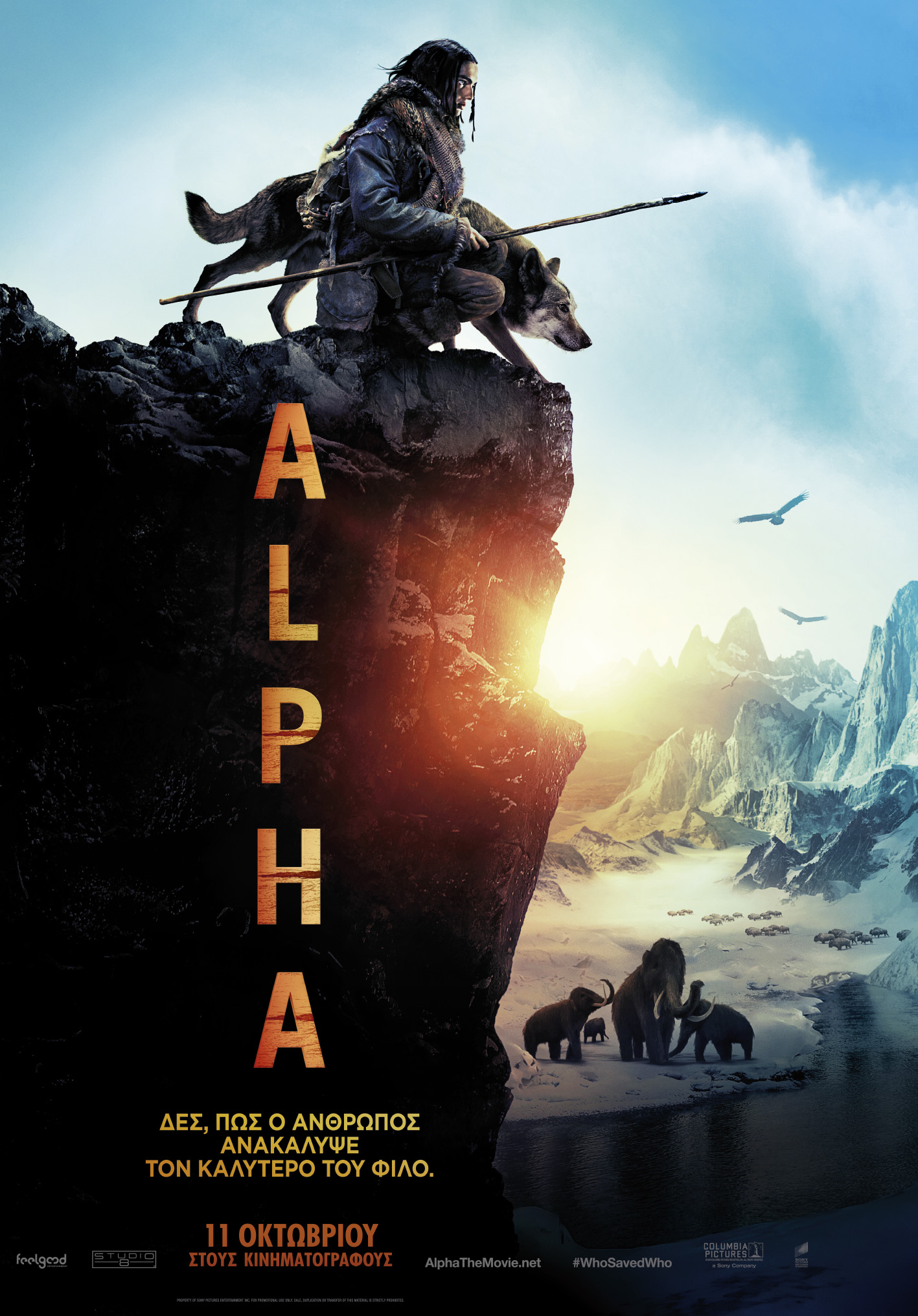 ALPHA INTL 1SHT TSR LK02 05 web DATE GR
