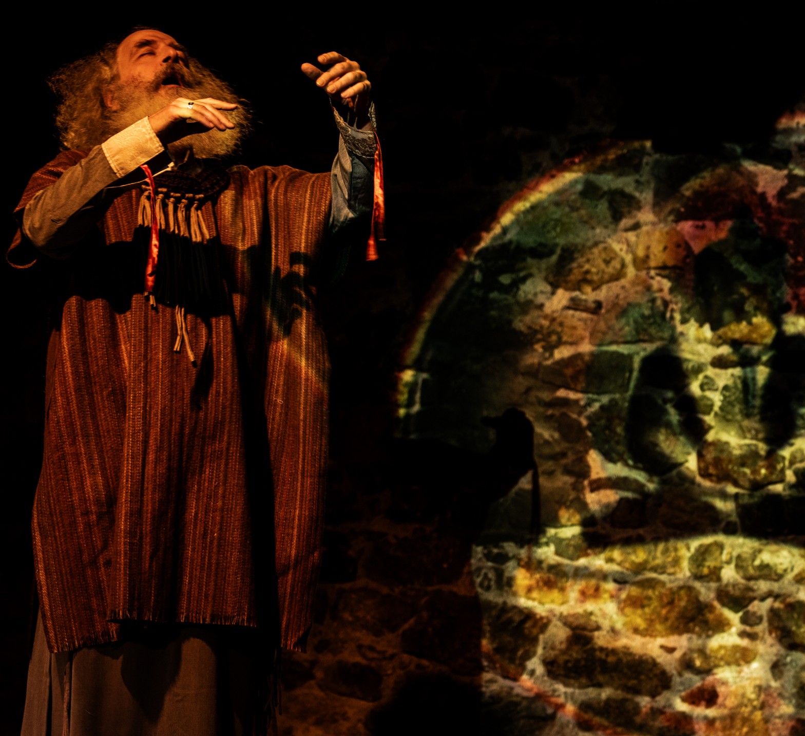 BARDO 5
