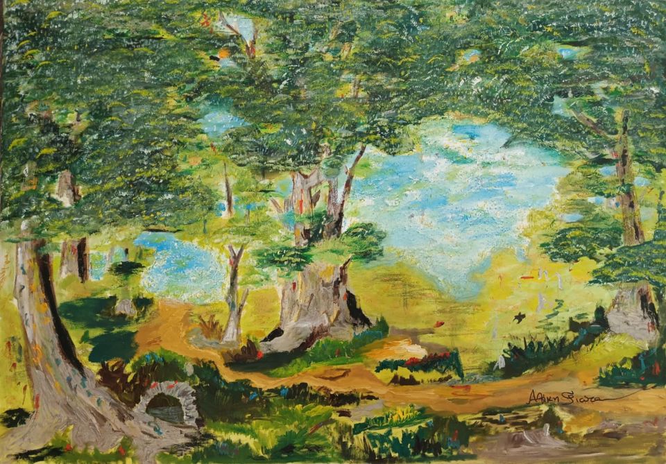 DASOS70x100cm