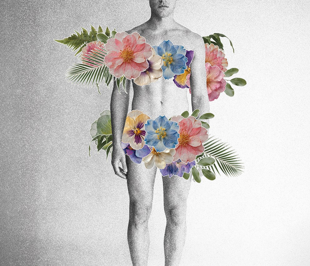 Monsieur Venus