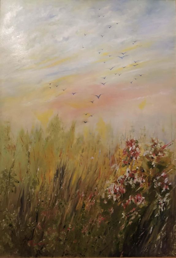 PETSAGMA 100x70cm