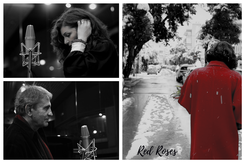 Red Roses Post Card White A s